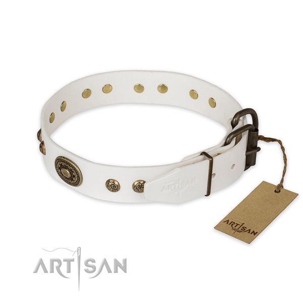 Reliable fittings on natural genuine leather collar for everyday walking your four-legged friend