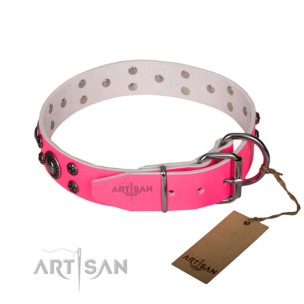 Everyday use embellished dog collar of reliable full grain genuine leather