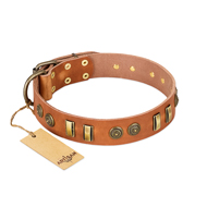 "Natural Beauty" FDT Artisan Tan Leather Amstaff Collar with Old Bronze-like Circles and Plates