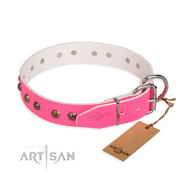 Full grain natural leather dog collar with incredible rust resistant embellishments