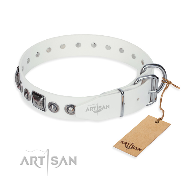 Reliable full grain leather dog collar made for basic training