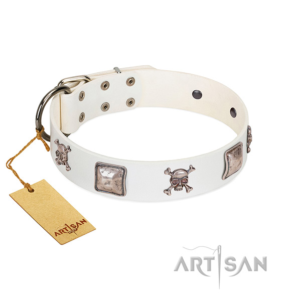 Exceptional genuine leather collar for your attractive dog