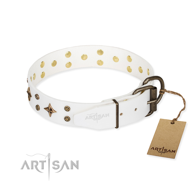 Daily use adorned dog collar of top notch full grain natural leather