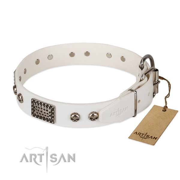 Strong adornments on everyday walking dog collar