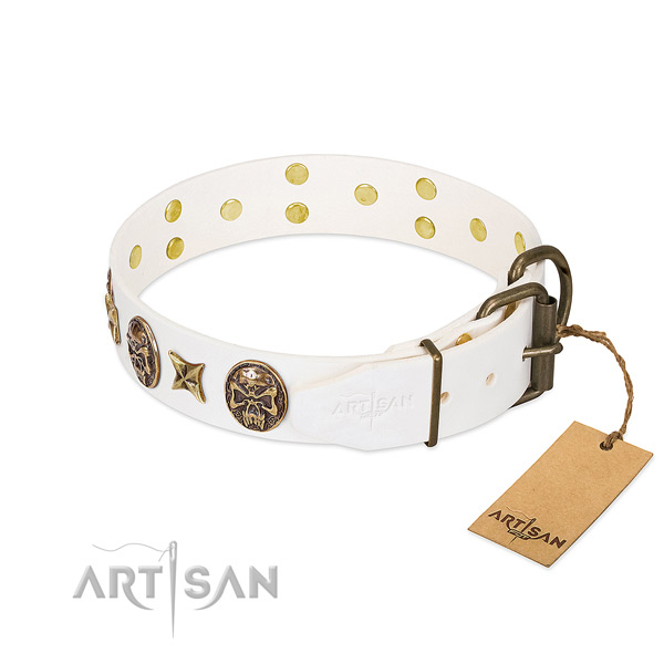 Durable traditional buckle on leather collar for walking your pet