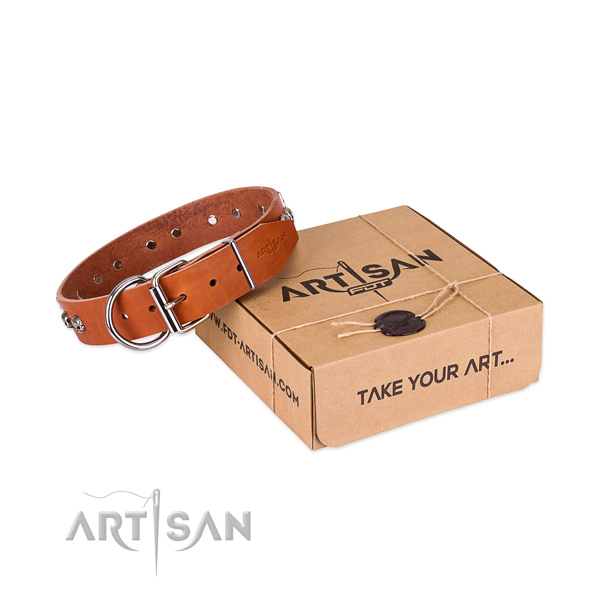 Strong embellishments on dog collar for daily walking