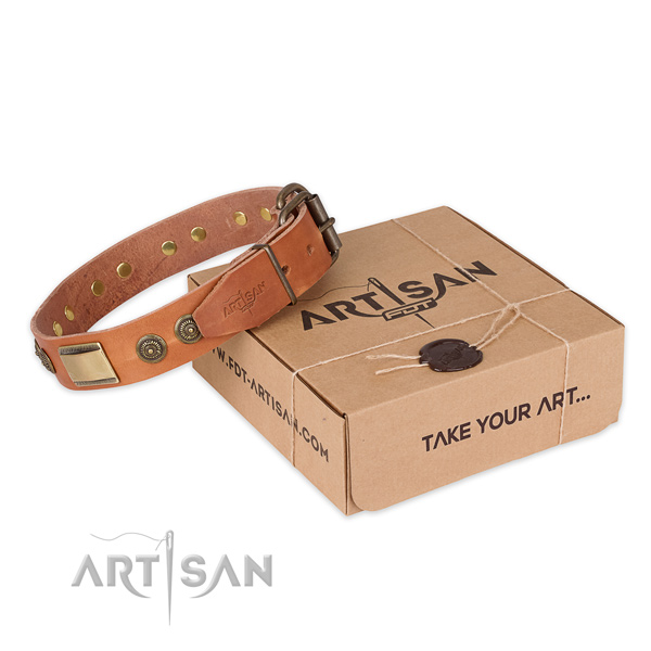 Corrosion proof buckle on full grain natural leather dog collar for fancy walking
