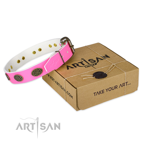 Rust-proof embellishments on dog collar for walking