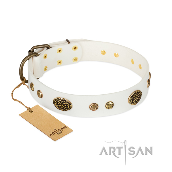 Rust-proof decorations on genuine leather dog collar for your doggie