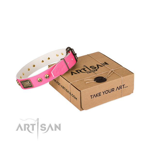 Corrosion proof buckle on dog collar for basic training