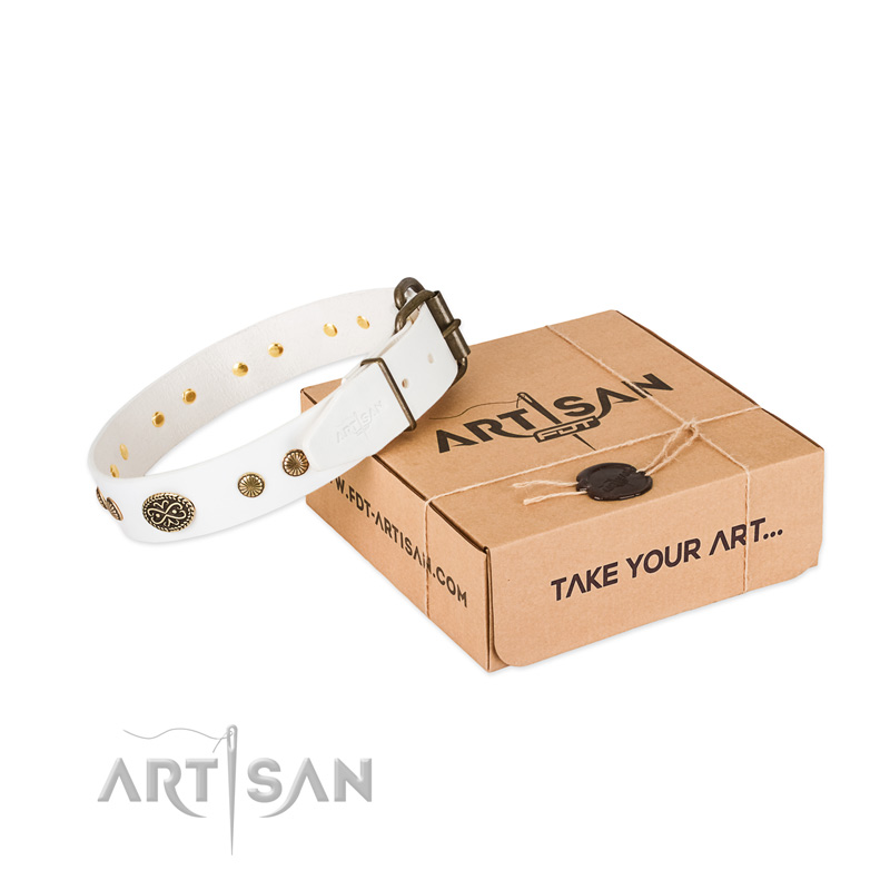 Rust-proof adornments on natural leather dog collar for your dog