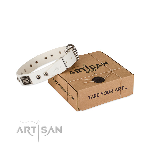 Corrosion proof adornments on dog collar for comfortable wearing