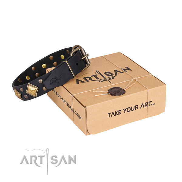 Basic training dog collar with Amazing corrosion resistant adornments
