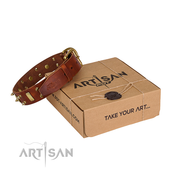Comfy wearing dog collar of top quality full grain natural leather with embellishments