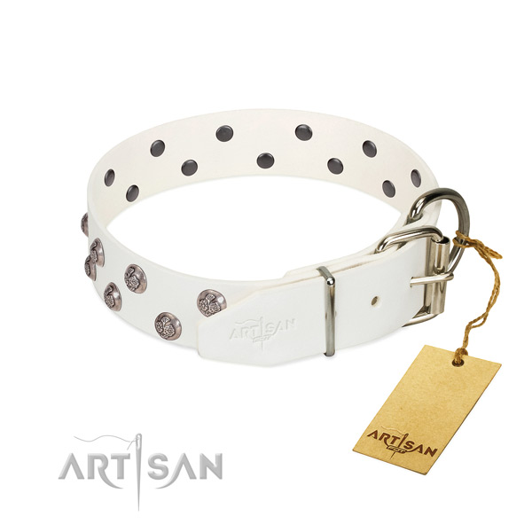 Strong fittings on decorated leather dog collar
