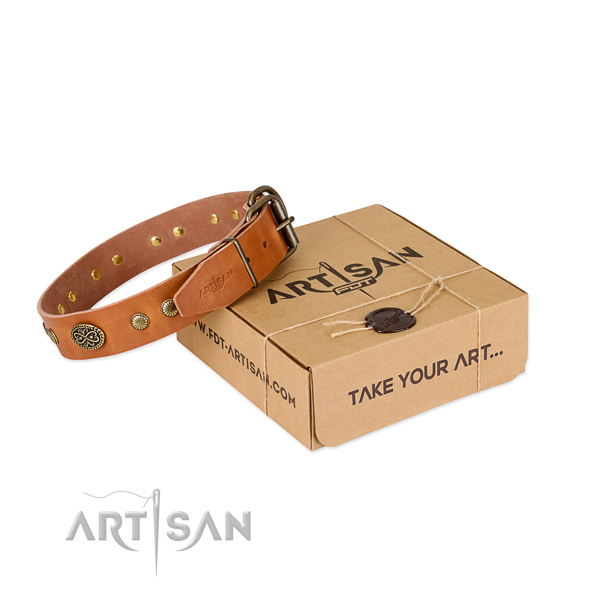 Rust resistant studs on full grain genuine leather dog collar for your dog