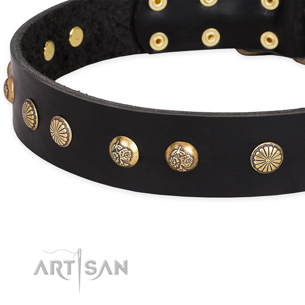 Genuine leather collar with strong traditional buckle for your impressive canine