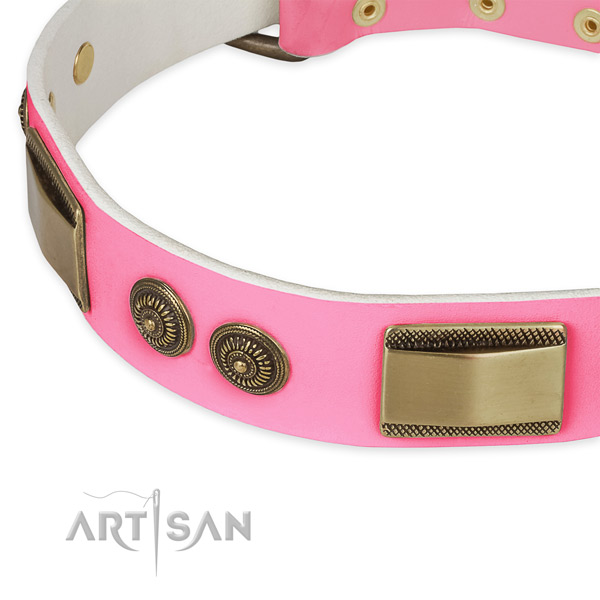 Full grain natural leather dog collar with adornments for handy use