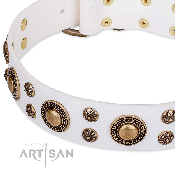 Comfy wearing adorned dog collar of high quality full grain natural leather