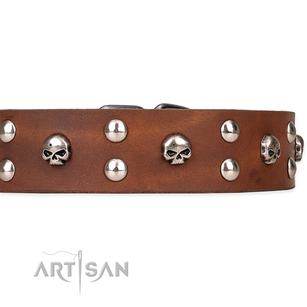 Fancy walking embellished dog collar of top quality natural leather
