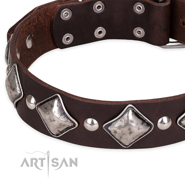 Comfy wearing decorated dog collar of quality natural leather