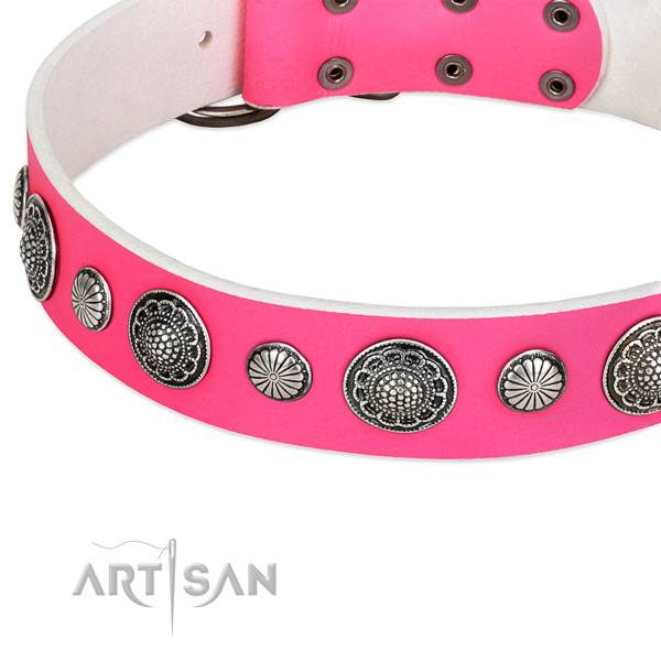 Full grain genuine leather collar with strong fittings for your handsome four-legged friend
