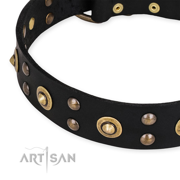 Full grain genuine leather collar with durable buckle for your beautiful four-legged friend