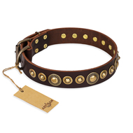 "Ancient Warrior" FDT Artisan Fancy Leather Amstaff Collar with Old-Bronze Plated Decorations