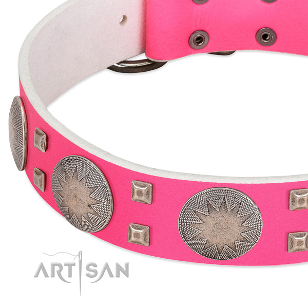 Walking soft to touch full grain leather dog collar