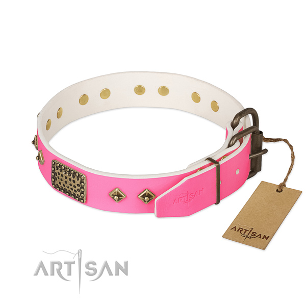 Reliable studs on basic training dog collar