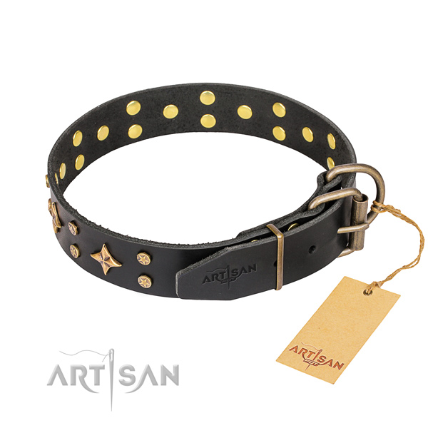 Fancy walking embellished dog collar of high quality genuine leather