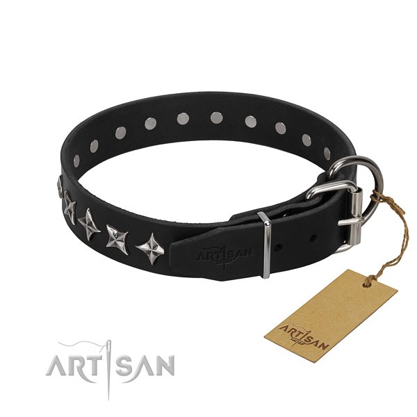 Walking studded dog collar of top quality full grain genuine leather