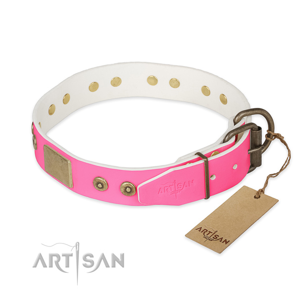 Reliable traditional buckle on daily use dog collar