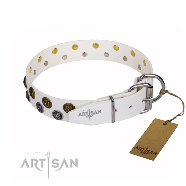 Basic training adorned dog collar of high quality full grain natural leather