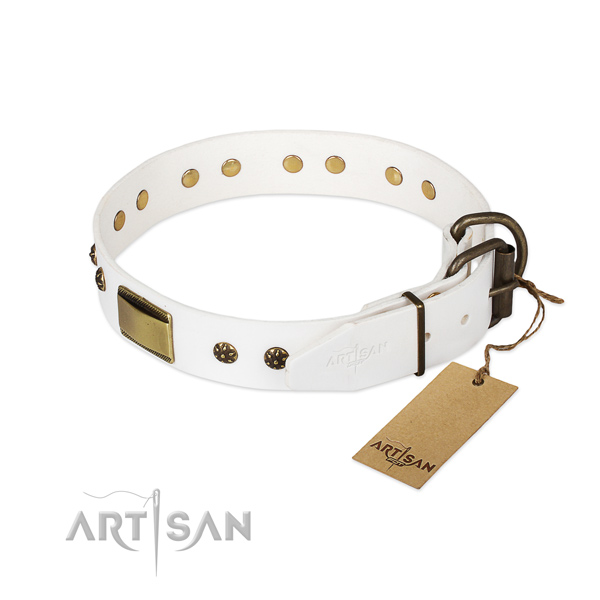 Full grain leather dog collar with durable fittings and adornments