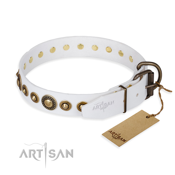 Quality genuine leather dog collar created for daily walking