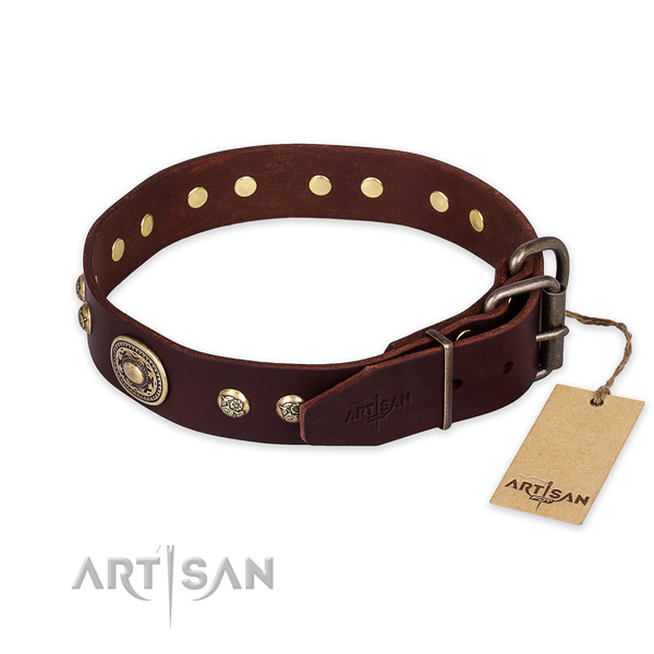 Reliable buckle on natural leather collar for walking your canine