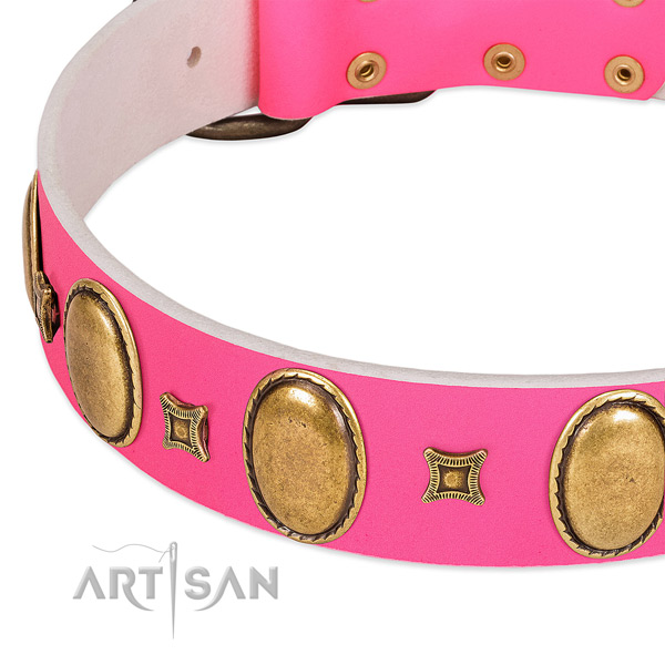 High quality genuine leather dog collar with adornments for everyday use