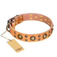 "Sophisticated Glamor" FDT Artisan Leather Amstaff Collar with Fancy Old Bronze-like Plated Decorations