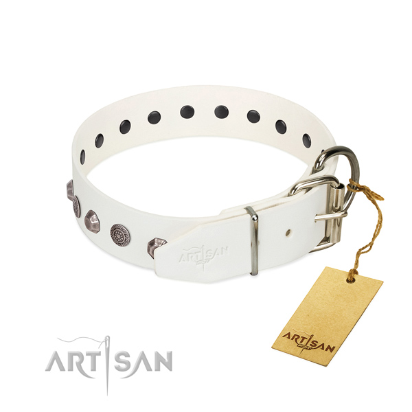Corrosion resistant hardware on leather dog collar for daily walking your doggie
