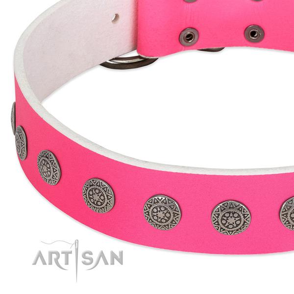 Remarkable leather collar with studs for your pet