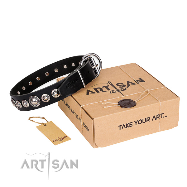 Fine quality leather dog collar
