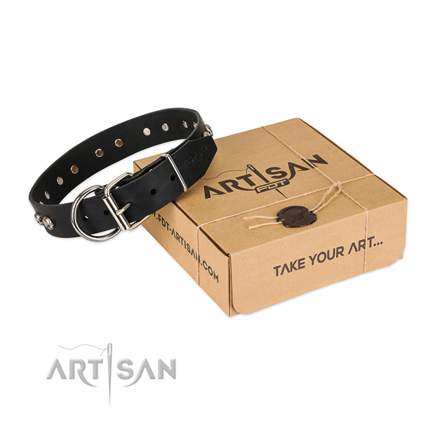 Corrosion proof fittings on dog collar for handy use