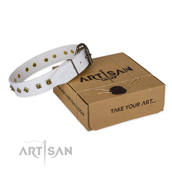 Durable fittings on leather dog collar for comfortable wearing