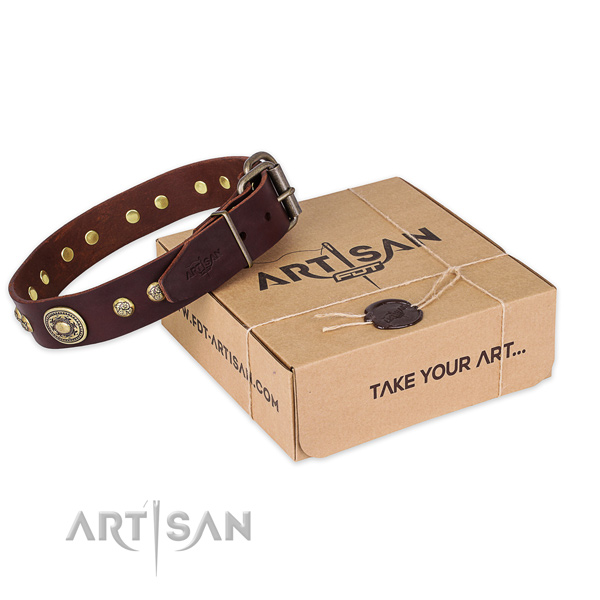 Rust-proof fittings on leather dog collar for daily use