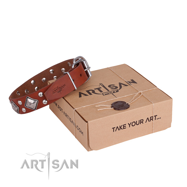 Easy wearing dog collar with Significant durable decorations