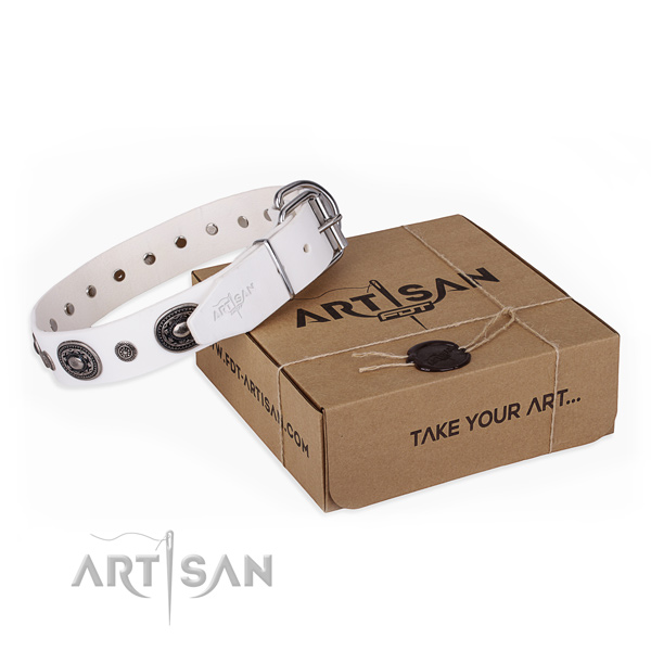 Quality genuine leather dog collar made for everyday walking
