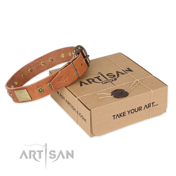 Corrosion proof hardware on full grain leather dog collar for stylish walking