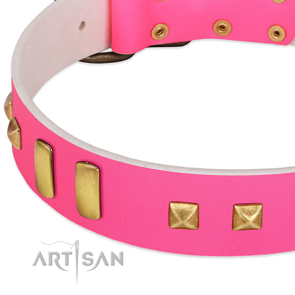 Perfect fit leather collar for your beautiful doggie