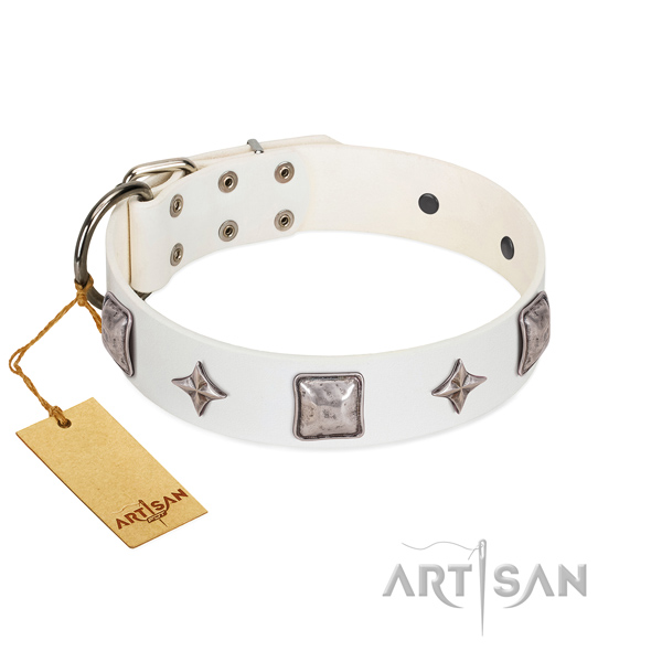 Top-notch genuine leather dog collar with studs for everyday use